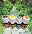 Young Living Elemi Lemon Marjoram Tangerine Essential Oil New Sealed Lot