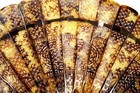 Antique Hand Fan Chinese Export Fan Brise Style Circa 1840s