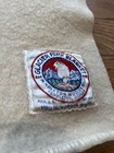 Roughly Vintage Pendleton Glacier National Park Blanket 85 X 62   1930s 1940s