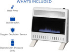 Procom Heating Liquid Propane Ventless Blue Flame Heater With Base Feet - 30 000