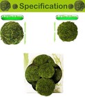 21 Large Live Moss Pebbles Balls For Fish Tank Aquariums Decorations Green Algae