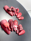 Halloween Horror Press On Nails 3d Bloody Eyeball Gore Wound Size M Almond
