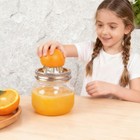 Mason Jar Stainless Steel Juicer Lid  2 Pieces   Citrus Reamer For Silver