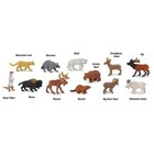 North America Wildlife Toob Mini Figures Safari Ltd New In Stock
