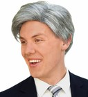 Tv Show Host Costume Wig Adult Old Man Gray Hair Silver Grandpa Politician Comic