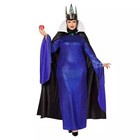  07946296  Spirit Halloween Adult Evil Queen Costume - Disney Villains Size Vary
