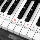 Piano Keyboard Stickers For 88 76 61 54 49 Keys Removable Color Coding Labels