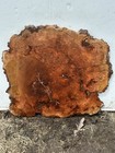Y1 Cherry Burl Round 24x23x1 5 Birds Eye Epoxy Project Crafting  Clock 12 mc