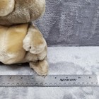 Applause Stuffed Plush Wainwright Teddy Bear Vintage 1982 80 s Toy Plushie