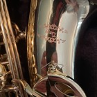 Glory Alto Sax Saxophone With Carrying Case   Accessories