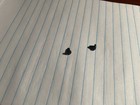 Set Of  2  Rear Sight Blade Screws For Winchester Post 1964 Model 70