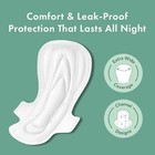 Rael Extra Long Overnight Organic Cotton Cover Pads With Wings  24 Count 