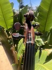 Antique Violin