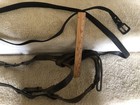 Horse Halter