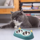 Pet Cat Elevated Food Bowl Dog Cat Stainless Steel Tilted Feeder Water Dish