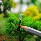 50pcs Clear 4mm 16v 70ma Mini Pre-wired Grain Of Wheat Bulbs Warm White