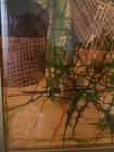 Seah Kim Joo Silk Painting Mcm Batik Framed Wall Art  41 25   x26 75   