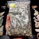 Small Bag Of Lee Creek Fossil Shark Teeth Micro Matrix Fossils Tooth Sharks