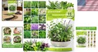 Therapeutic Herb Seeds Of 15 Culinary Varieties     Non-gmo Heirloom Collection