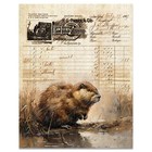 Vintage Muskrat Fur Trapping Catalog Art Print Cabin Artwork Decor Trapper Gift