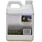 Ever Green Grass Paint Colorant Concentrate Water Based Non-toxic 1 000 Sq Ft