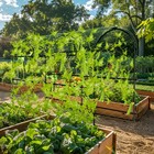 Garden Trellis Tall Cucumber Trellis Arch For Climbing Plants W  Trellis Netting