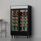54  Commercial 2 Glass Door Freezer Reach In Display Merchandiser Restaurant Nsf
