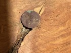 Dug Civil War Eagle Button