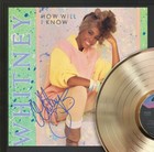 Whitney Houston Framed Black Wood Reproduction Signature Gold Lp Display 