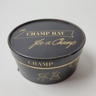 Vintage Champ Hat Miniature Salesman Sample Grey Felt Fedora With Original Box