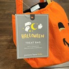 Pottery Barn Kids Felted Pumpkin Glitter Halloween Treat Tote Bag