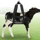 1 Lightweight Weigh Sling For Puppies Calf Weigh Hammock Animal Lift