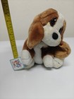 Sad Sam Honey Dog Plush Stuffed Animal Brand New With Tags