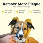 Jasper Dog Toothbrush  360   Finger Toothbrush For Dogs   Cats  Blue 16-pack