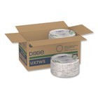 Dixie Ux7ws Pathways Wisesize 6 88  Paper Plates - Green burgundy  500 ct  New