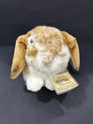 Webkinz Signature Lop Bunny Wks1025 Retired Plush New W Sealed Code Nwt Rare
