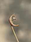 Antique Victorian Era 10k Gold Stick Pin Cresent Moon W  Seed Pearls Cool Piece 