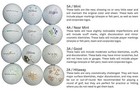 Vice Mix Aaaaa Mint 50 Used Golf Balls 5a