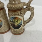 Vintage Beer Stein Salt And Pepper Shakers Souvenir South Carolina Ceramic