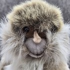 Hansa Spider Monkey 3680 Plush 12    Realistic Stuffed Animal W tag
