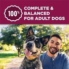 Dog Chow Tender And Crunchy With Real Lamb And Turkey Flavor Adult Dry Dog Food