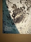 Original 1989 Vintage The Cure Robert Smith Poster Goth Alternative Punk 33 X 22