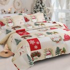 Christmas Snowmen Quilts King Size Xmas Reindeer Bedspread Cardinals Car Chri   