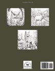 Forest Animals  Adult Coloring Book Of Wildlife For Relaxation Paperback        