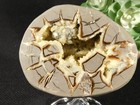 Polished Crystal Filled Hollow Septarian Nodule Geode  From Utah 522gr