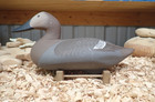 Upper Chesapeake Bay Working Canvasback Hen  Decoy