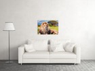 Wild Lion Dangerous Animals Nature Painting Print Wall Art Home - Poster 20 x30 