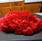 Rhythm Creations  million Dollar  Vintage Red Petticoat Size Xs-m Square Dance