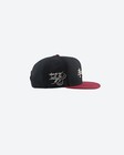 Dgk Skateboards X Bruce Lee Balance Black Snapback Hat