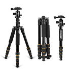 Zomei Q666 Portable Professional Tripod ball Head Travel For Canon Dslr Camera